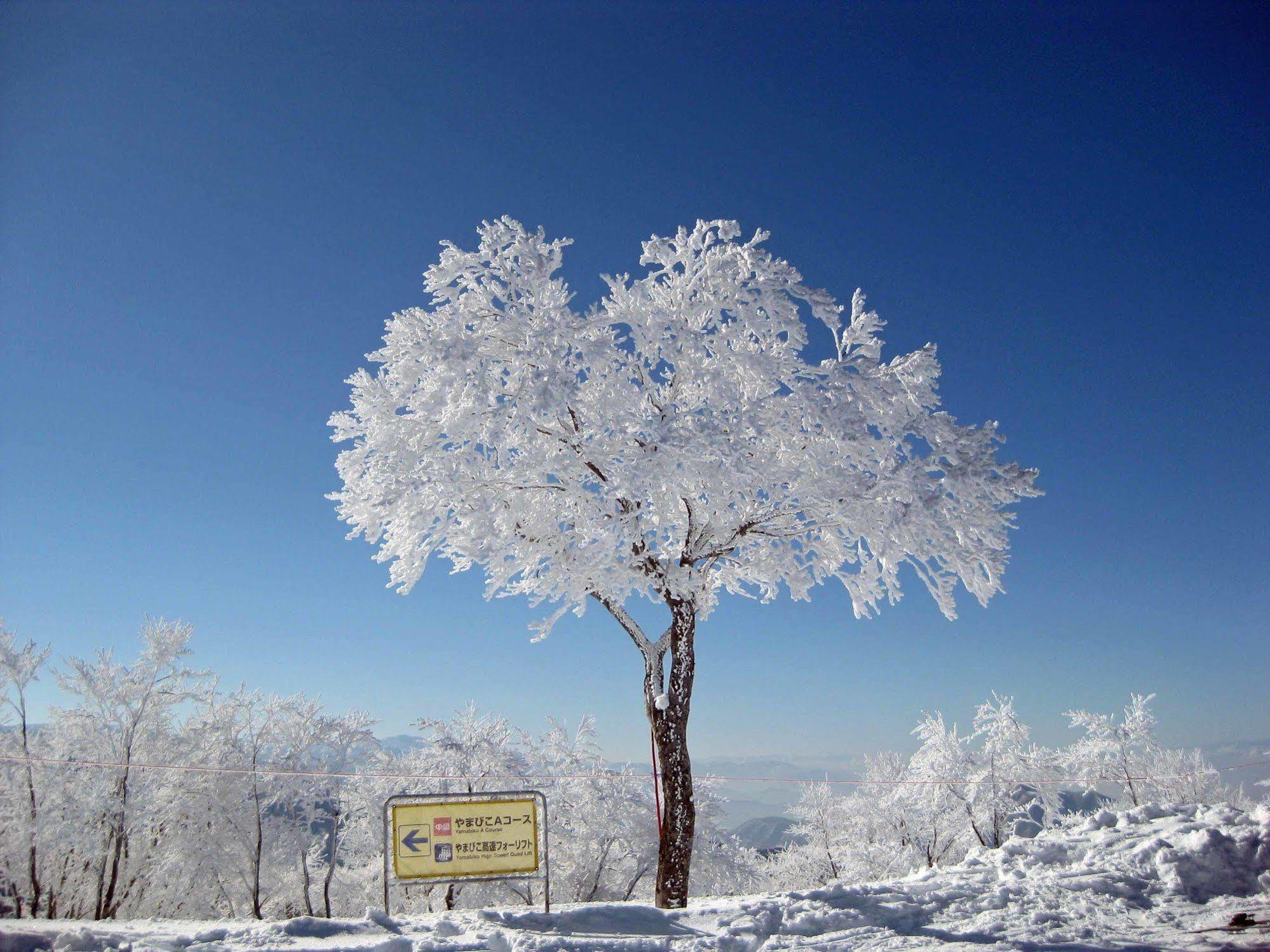 Nozawaonsen Guest House Miyazawa Kültér fotó